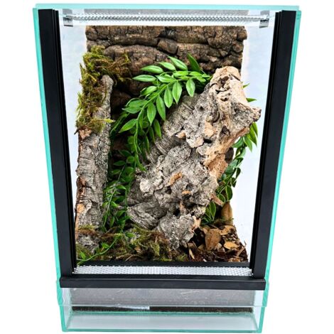 Glasterrarium mit Ausstattung 20x20x30cm Set für Baumspinnen