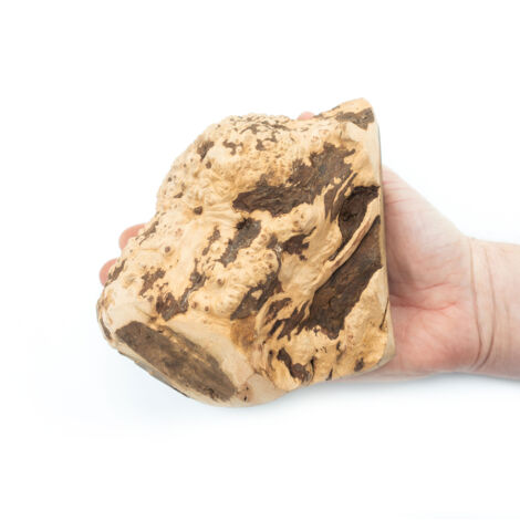 Briar Root Chew 4DOGS Taglia XL (1/5)