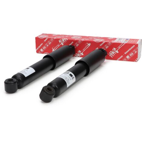 2 AMMORTIZZATORI posteriori L+R FIAT DUCATO Platforma 250