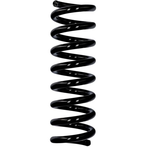 Molla posteriore Eibach ERL per Mercedes-Benz R10104 (1/2)
