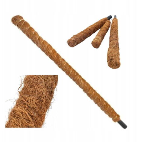 Paletto decorativo in cocco, supporto ecologico per piante, 80 cm