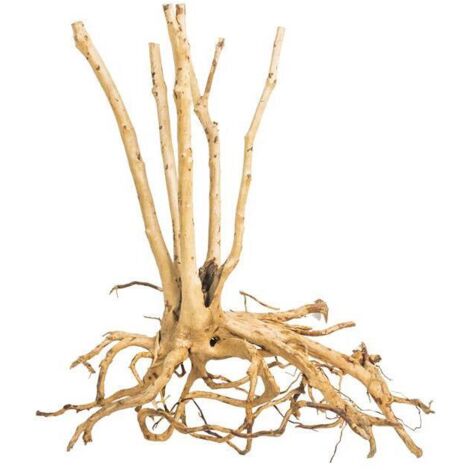 PROGROW FINE WOOD STUMP 1KG