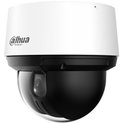 Videocamera di Sorveglianza Dahua SD4A425DB-HNY