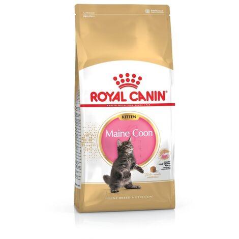 Pienso ROYAL CANIN KITTEN MAINE COON para gatitos - 4Kg
