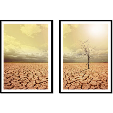 CUADRO ENMARCADO 53x73cm Díptico Conjunto de 2 cuadros Árbol Solitario Boho P2149 (1/3)