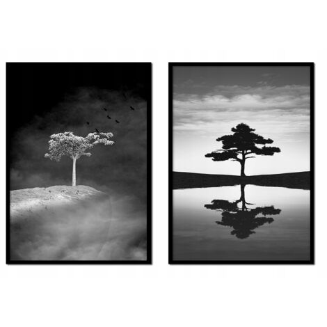 POSTERS CON FOTOS EN MARCO 53x73cm Díptico Conjunto de 2 cuadros Árbol solitario P1719 (1/3)