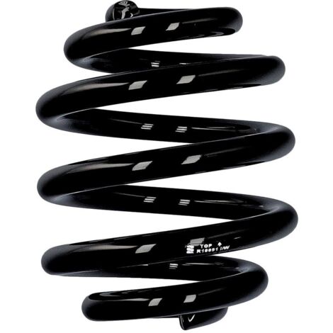 Muelle de serie Eibach ERL Audi trasero R10091 (1/2)