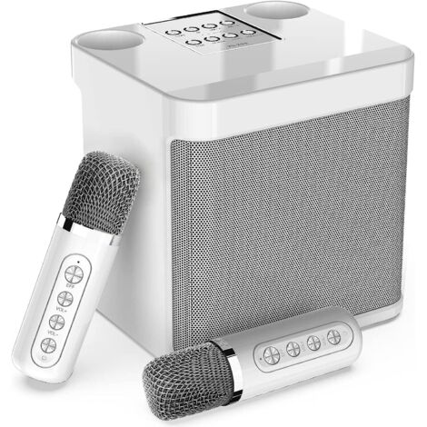 Enceinte Karaoké Portable Avec 2 Microphones Sans Fil - Machine à Chanter Bluetooth Blanc Pour Fêtes Et Soirées