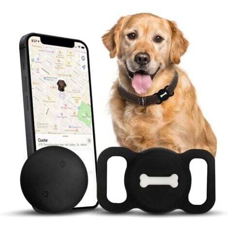 Traceur de chien GPS étanche IP68 – Suivi en temps réel sans frais mensuels – Compatible iOS avec application Find My