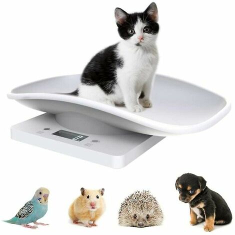 Balance  Électronique pour Animaux de Compagnie, Petit Balance Numérique, 10kg/1g Écran LCD Balance Précision Mesure Outil Pesage pour Cuisine Chaton Chiots Tortue Hamster
