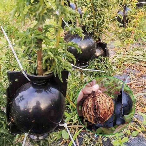 Lot De 10 Boules De Greffage 8 Cm – Propagation Racinaire Aérienne Pour Plantes Et Arbres
