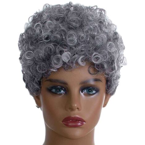 Perruque Synthétique Courte Afro Bouclée pour Femmes et Filles - EINNENFFER - Style Tendance en Gris, Confort Léger et Facile à Entretenir, Idéale pour Quotidien et Événements Spéciaux (1/5)