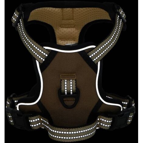 Harnais Pour Teckel SlowTon Harnais Petit Chien: Harnais Pour Chiots En Daim Souple Et Léger, Sans Traction, Avec Laisse Et Boucle, Harnais Chiot Pour Chiens De Petite Et Harnais Spitz Nain