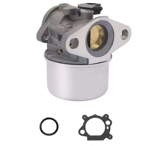 Carburateur Briggs et Stratton - 799868 (1/3)