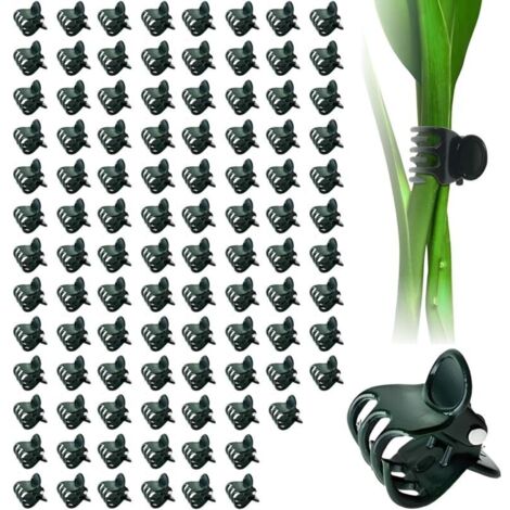 Lot de 100 pinces à orchidées réutilisables pour orchidées et fleurs - 15 mm - Vert foncé - Solides et durables (1/4)