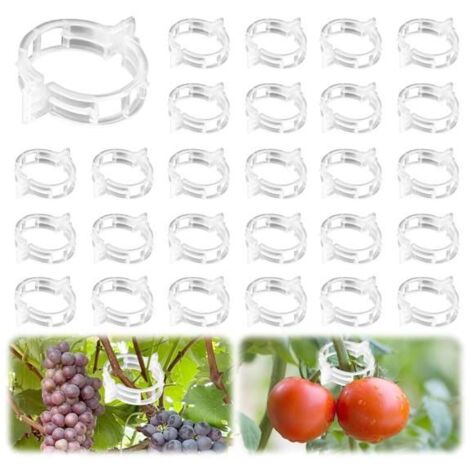 Lot de 200 attaches en plastique pour tomates, idéales pour plantes grimpantes et tuteurs. (1/5)