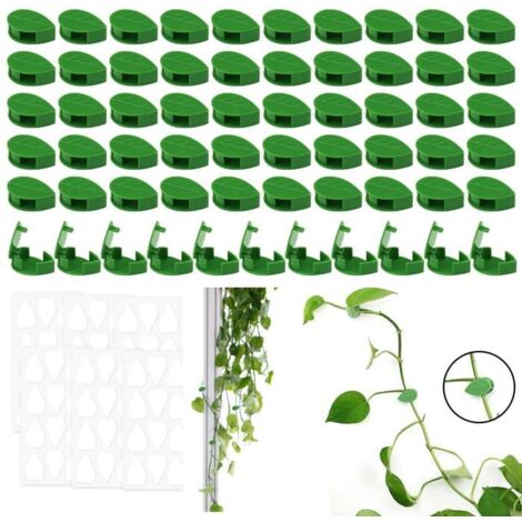 60 Pièces de Clips pour Plantes Grimpantes Murales, Clips Auto-adhésifs en Forme de Feuille (1/5)