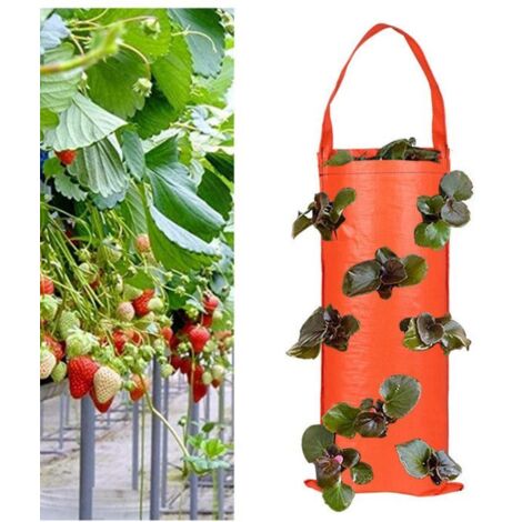 1 sac de culture inversé tomates/fraises - 8 trous d'aération - Intérieur/extérieur - Compact & écologique (Orange) (1/5)
