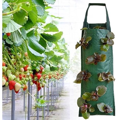 2 pcs Sac de culture pour fraises, sac de plantation vertical en PE suspendu, sac à fraises à plusieurs ouvertures. (1/4)
