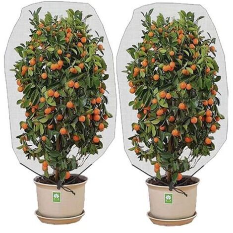 Lot de 2 filets de protection avec corde de traction, couverture pour plantes de jardin, pour protéger les plantes, 0,8 x 0,8 m (1/5)
