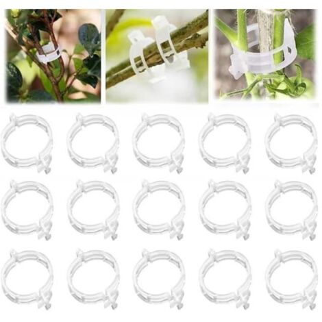 Lot de 100 attaches pour plantes grimpantes en plastique sécurisées, attaches de fixation (blanc) - yd (1/4)