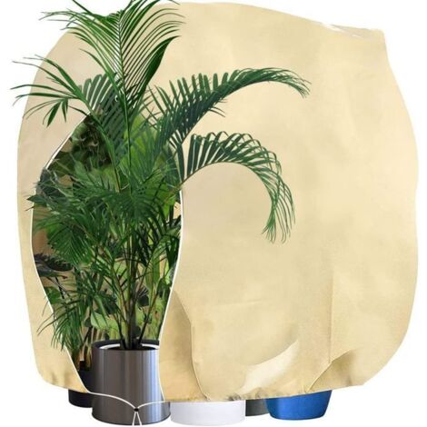 Housse de protection hivernale non tissée 240x200cm (80g) pour plantes contre le froid et la chaleur. (1/5)