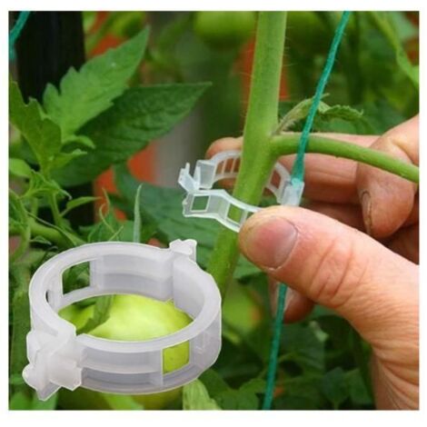 Clips pour plantes - SH - 100 pièces - Transparents - Soutien de croissance - Réutilisables (1/4)