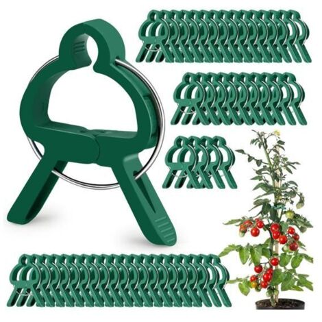 50 attaches pour plantes, supports réutilisables pour tiges, clips à tomates réutilisables. (1/5)