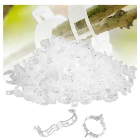 Clip pour plantes - wj - 200 pièces - Transparent - Support et guidage des plantes (1/4)