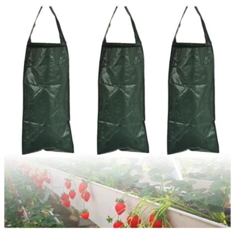 Sac de Plantation - Non spécifié - 3 Pièces - 10 Trous - 58 x 25,5 cm - Vert (1/4)