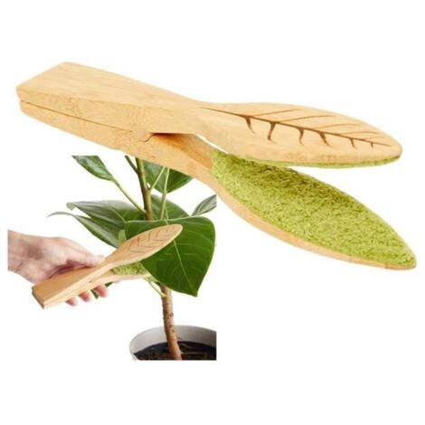 Pince à feuilles - Marque - Modèle - Bois naturel - Intérieur - Vert (1/4)