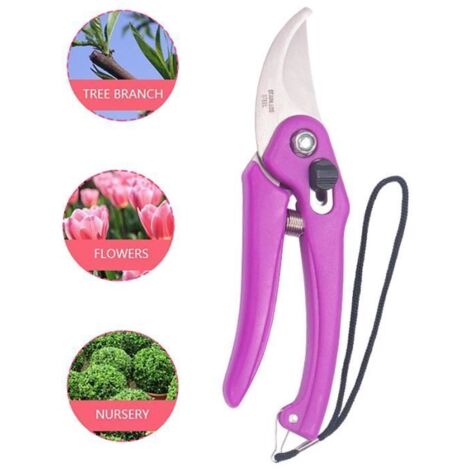 Sécateur de Jardin - Haute Qualité - Ergonomique - Acier Inoxydable - Violet - 18x5cm (1/4)