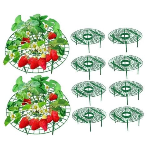 Supports pour fraises - Lot de 10 - 10 cm - Cadre amovible pour prévenir la pourriture