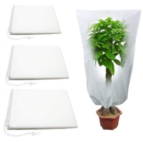 4 housses d'hivernage pour plantes avec cordon, 120 x 80 cm, protection hivernale. (1/4)