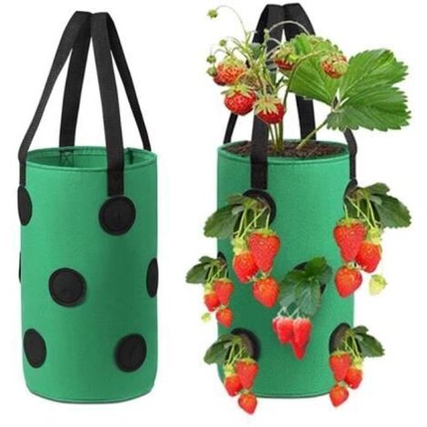 2 Pièces Sac de Plantation pour Fraises, Sacs de Culture Suspendus pour Fraises, Sac de Culture Respirant pour Fraises, avec Ouvertu (1/4)