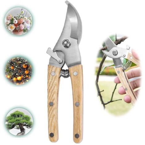 Sécateur de Jardin - Qualité Supérieure - Acier SK5 - Manche Ergonomique - Verrou de Sécurité - 19x5cm (1/4)