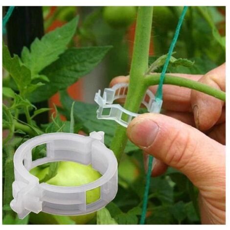 Attaches pour Plantes - 100 Pièces - Support pour Plantes Grimpantes - Jardin - Blanc - Lot (1/4)