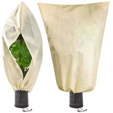 Housse d'hivernage pour plantes - Lot de 2 - Beige - 100 x 80 cm - Protection contre le gel - Tissu non tissé (1/4)