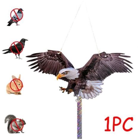 Répulsif Oiseaux, Bande Réfléchissante Anti-Pigeons avec Imprimé Aigle Double Face en Acrylique (1 Pièce) (1/4)