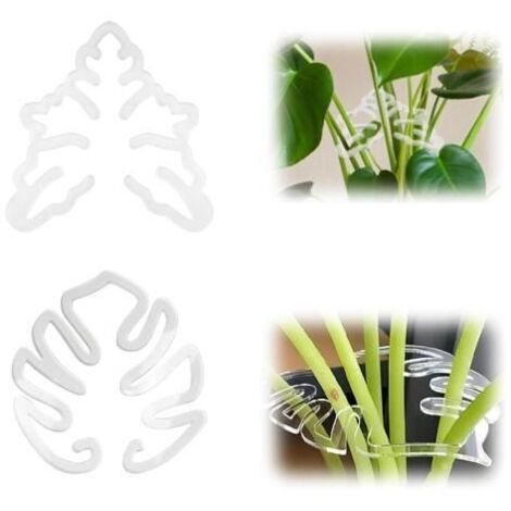 Support pour plantes Monstera - Ensemble de tuteurs en bambou - Durable - Facile à utiliser - Vert (1/4)
