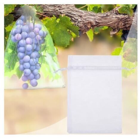 Sacs de Protection pour Fruits en Organza - 100 sachets - 30cm x 20cm - Transparent (1/4)