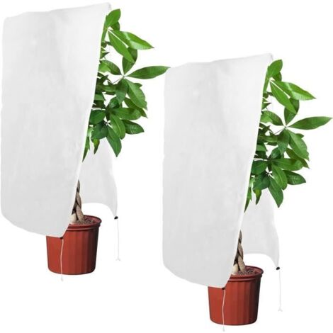 Voile d'hivernage pour plantes extérieures - Lot de 2 - Blanc - 120 x 80 cm - Protection antigel (1/4)
