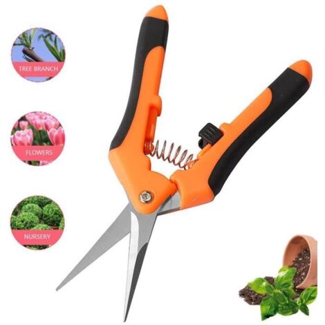 Sécateur de Jardin, Ciseaux de Jardinage Manuel, Sécateur à Lame Droite, Ciseaux de Précision pour Fleurs, Ciseaux à Bonsaï (1/4)