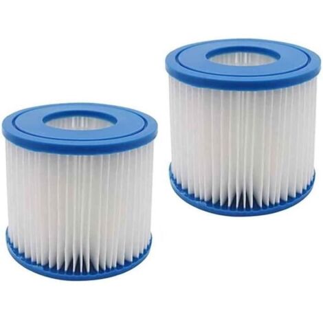 Lot de 2 filtres de remplacement pour piscine et spa - Type D (1/4)
