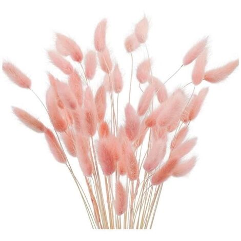 Fleurs séchées - Herbe des Pampas - 60 pièces - Imputrescibles - Décoration naturelle - Hauteur 40 cm (1/4)