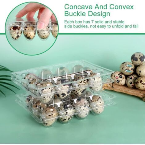 GLEAVI Œufs de Caille Miniatures en Plastique Lot de 20 pour Accessoires de Micro-Paysage et Décoration Intérieure Bureau et Maison