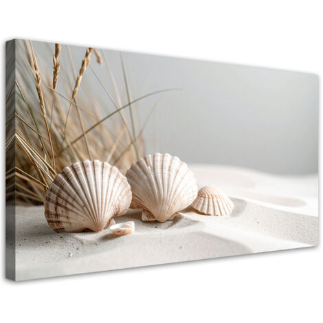 Wandbild Muscheln Sand Pflanzen Boho 80x40 cm (1/5)