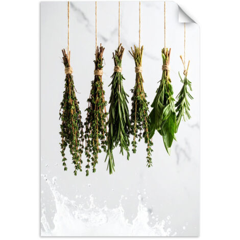 Selbstklebendes Poster – Wandsticker Kräuter Gewürze Pflanzen 100x150 cm