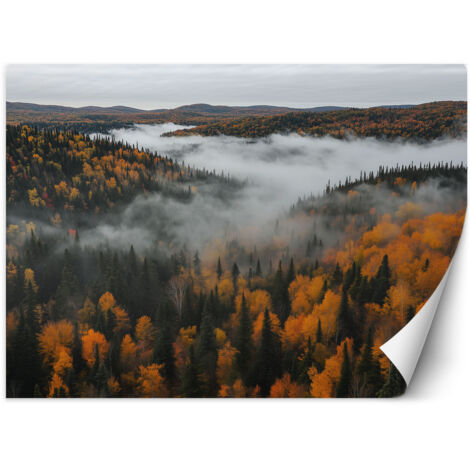 Fototapete Wald in Nebel Natur-Landschaft 400x280 cm