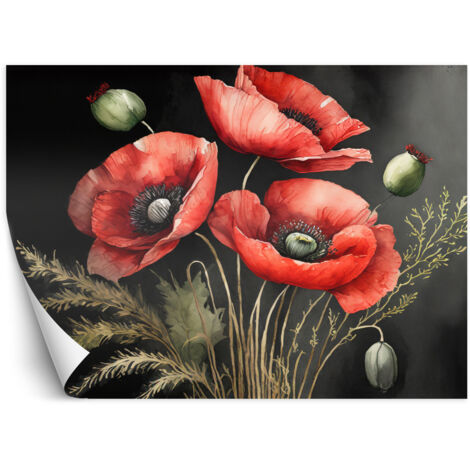 Fototapete Gemalte Rote Mohnblumen 350x245 cm (1/5)